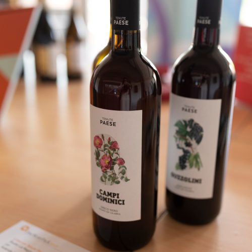 481701560_1071480308355616_2263524057342886545_n